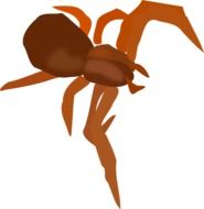 drawing of a brown spider