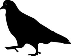 painted black pigeon profile