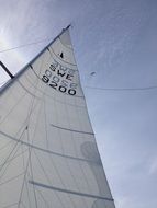 white sail with numbers 9200