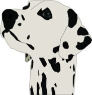 the drawing with spotted dalmatian