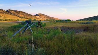 Pineridge Natural Area