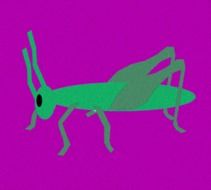 drawing of a green grasshopper on a pink background