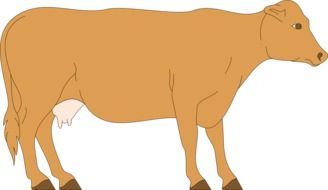 painted beige cow