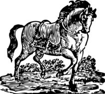 Horse Graceful Walking drawing