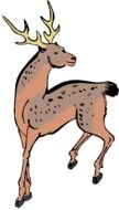Deer Woodcut drawing