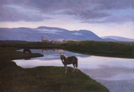 landscape of grazing lonely horse on the river bank