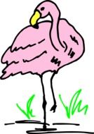drawn pink flamingo
