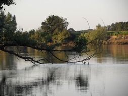 tropical river panorama