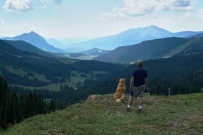 picture of the woman and dog in nature