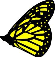 yellow butterfly with black stripes