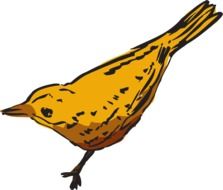 graphic image of a yellow bird