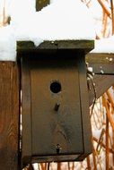 aviary on the fence