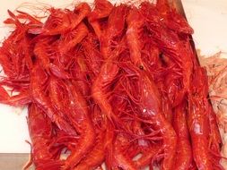 cooked red prawns