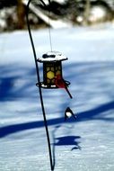 snowy bird feeder on a sunny day