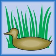 painted duck and swamp grass