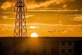 antenna and birds at sunset