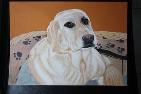 drawn labrador in black frame