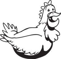 Picture of chicken
