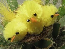 yellow ornamental chickens