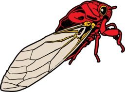 painted red cicada
