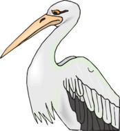 graphic image of a white pelican