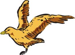 Brown flying bird clipart