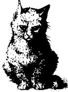 drawing of a domestic cat
