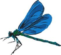 blue dragonfly as a graphic image