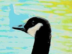 graphic image of the black head of a canadian goose