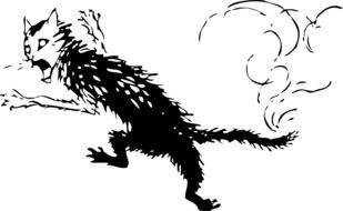 black scared cat drawing
