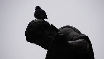 bird on the head of a statue in Vienna