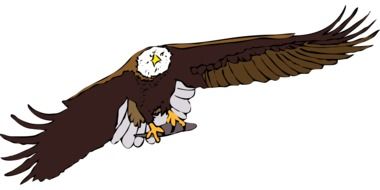 eagle in flight drawing