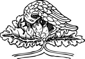 Bird Parent Chicks drawing