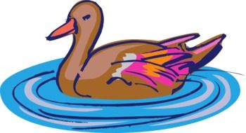 brown duck on water drawing