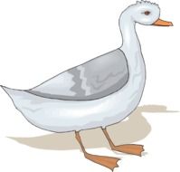 Standing Goose drawing