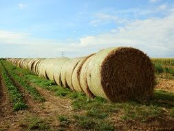long row of Straw bales on Field
