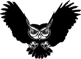 black painted owl