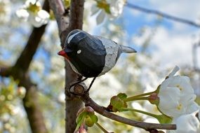 Wooden bird sculpture in spring