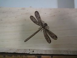 Drawing of Dragonfly on a wood
