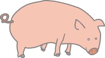 painted farm pig