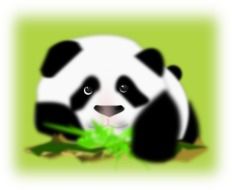 Panda Bear cute vector drawing