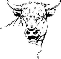 black and white graphic image of a bull's head in detail