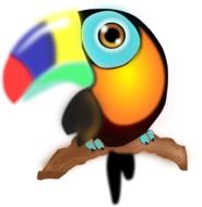 Tucan Bird drawing