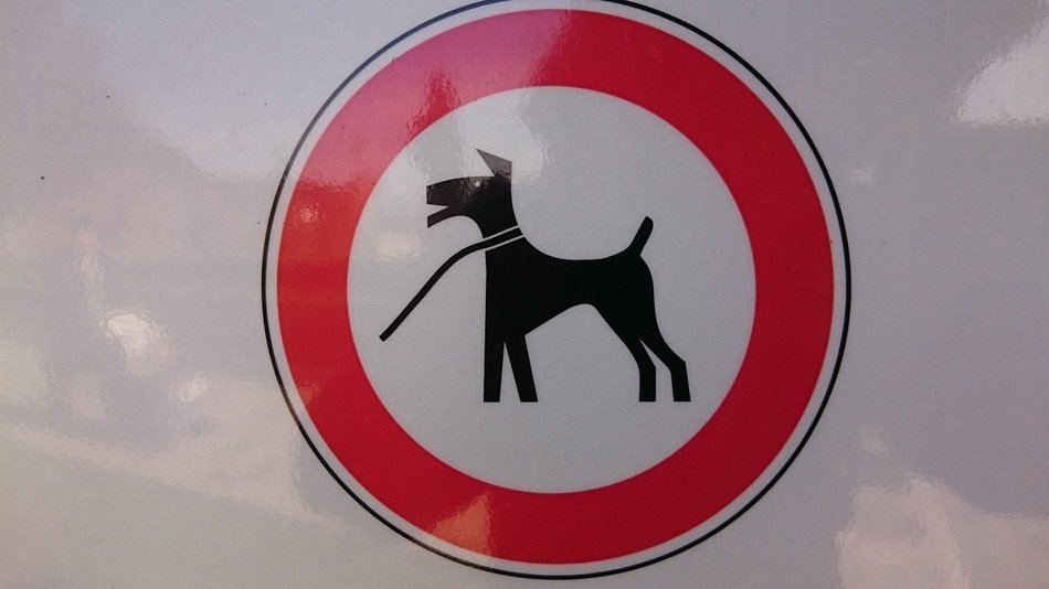 Sign Dog Leech