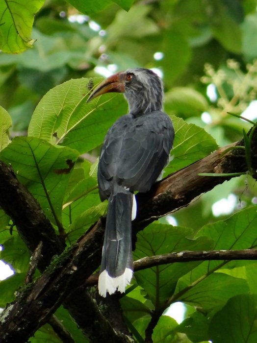 stunningly beautiful Malabar