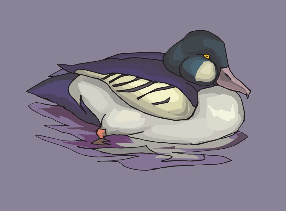 İllustration of waterfowl