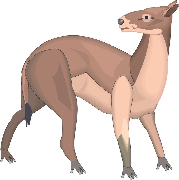 ancient animal with a tail looking back