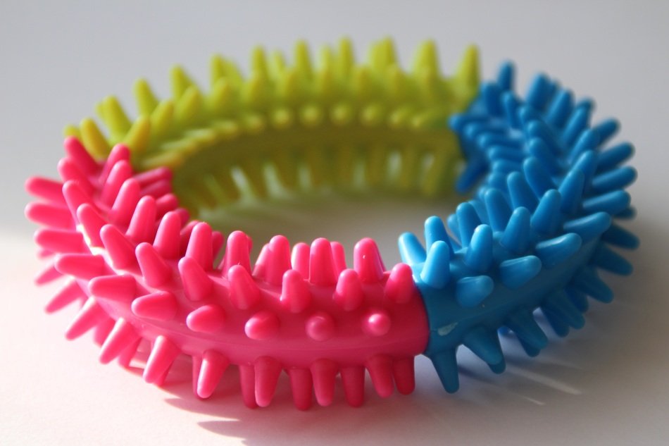 color wheel with prickles for animals