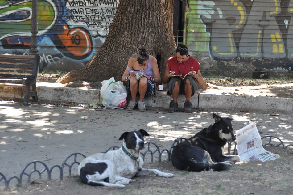 Misery Homelessness