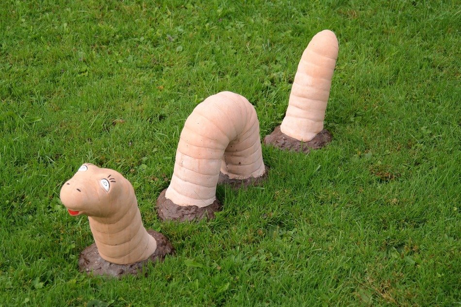 sculpture in the form of an earthworm on the green grass